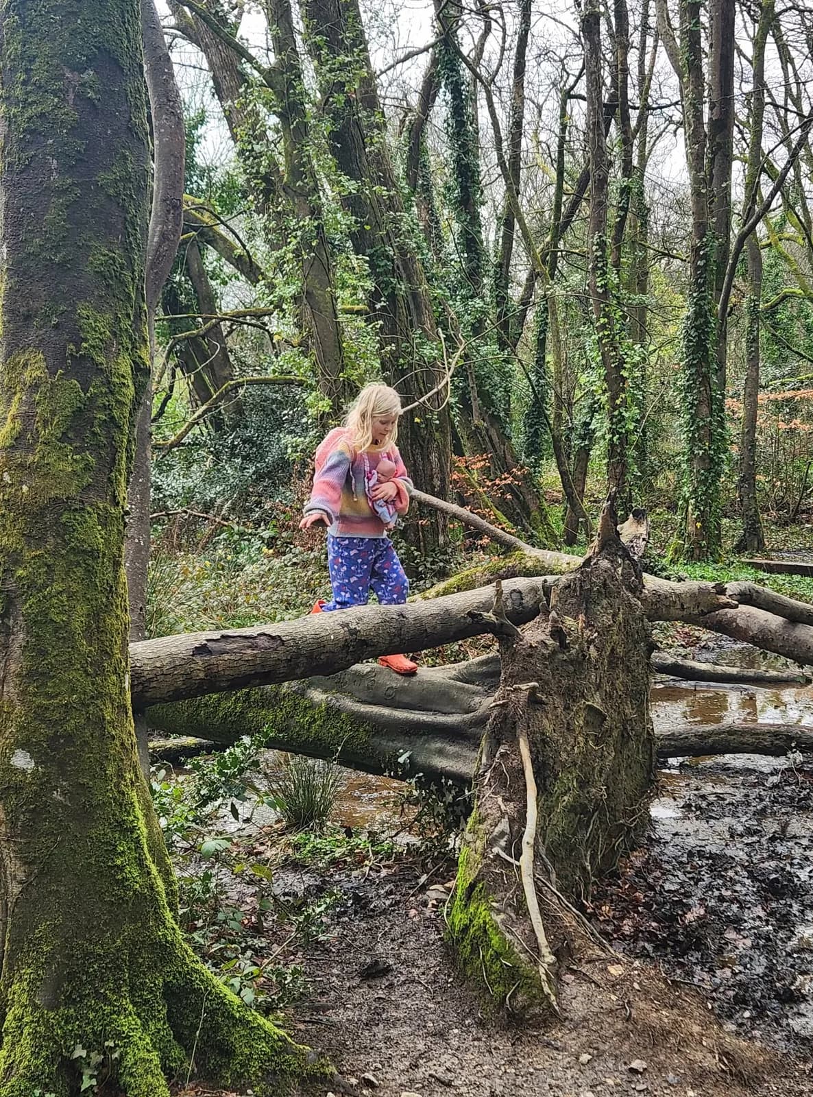 Children balancing along a fallen log across a woodland stream