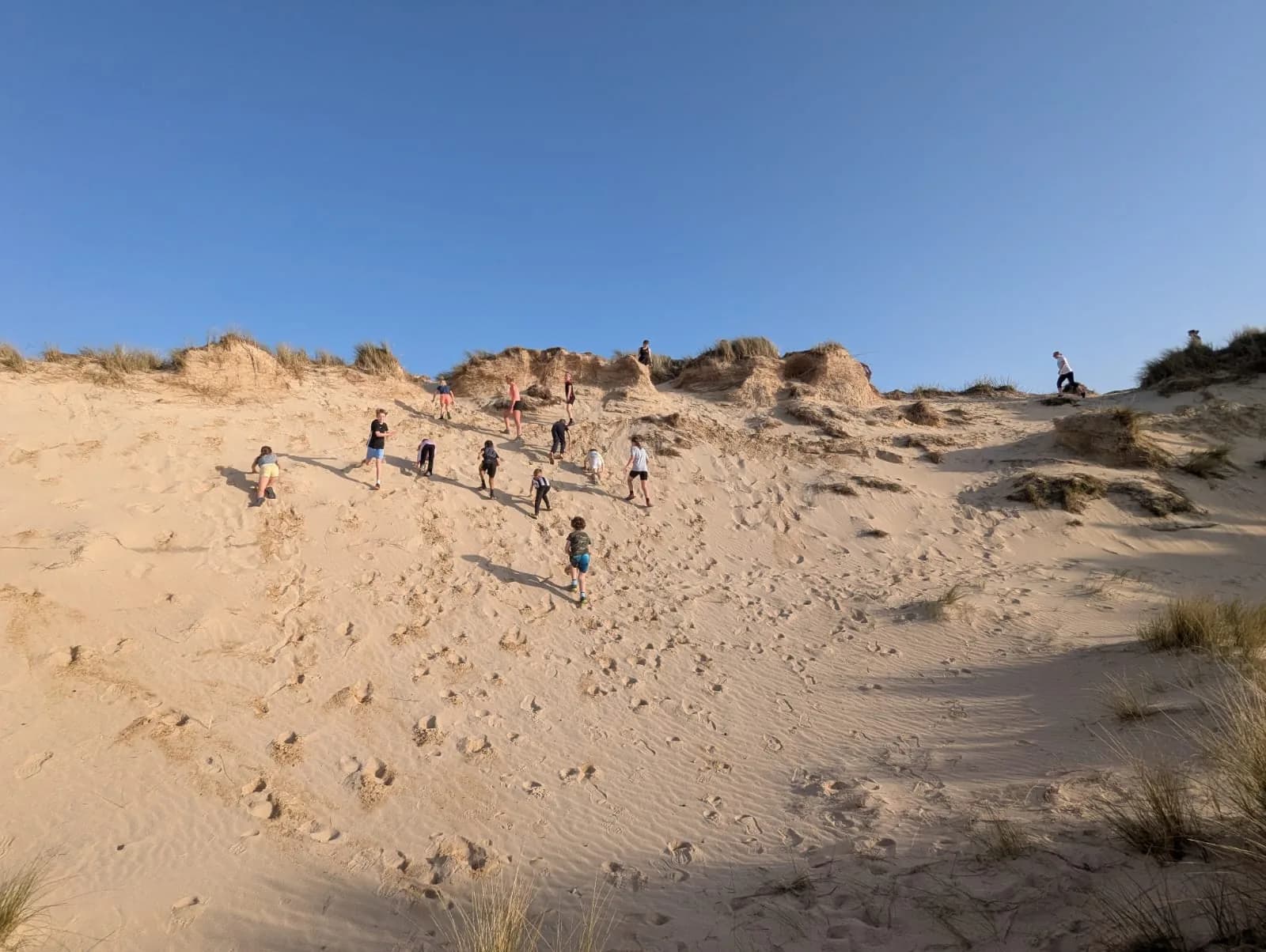 Kids scrambling up a sandy dune face on all fours
