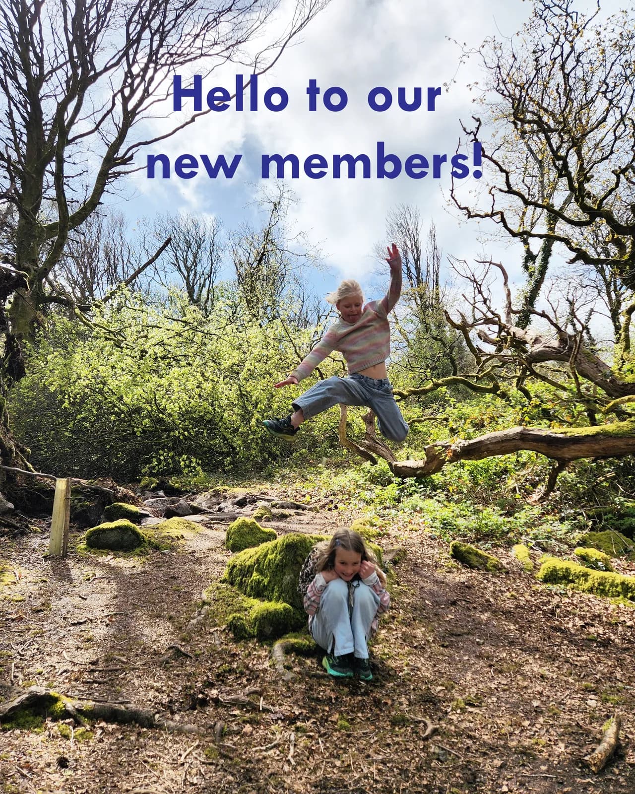 Hello new members post from our Instagram